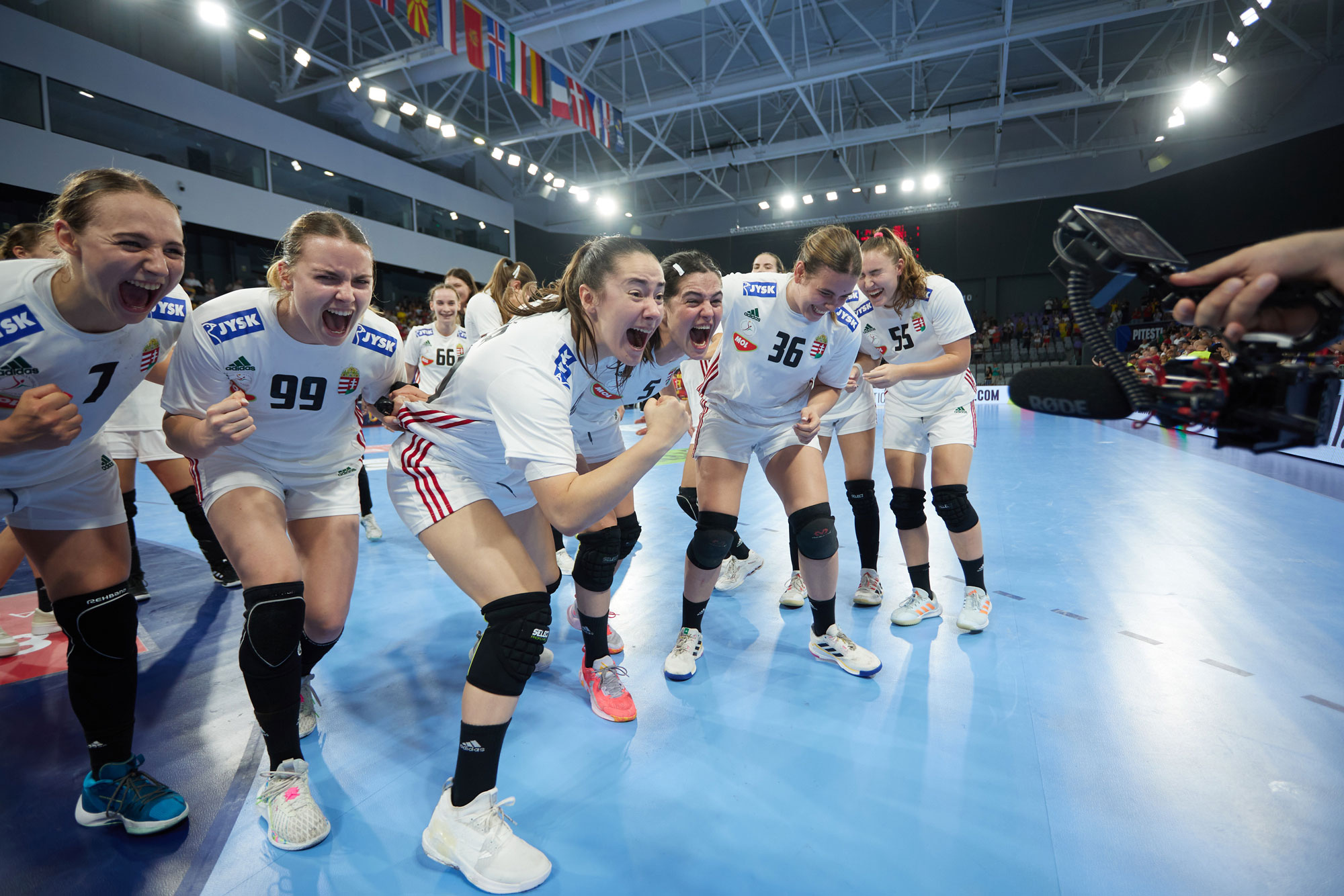 SUMMARY: Hungary book final against Denmark