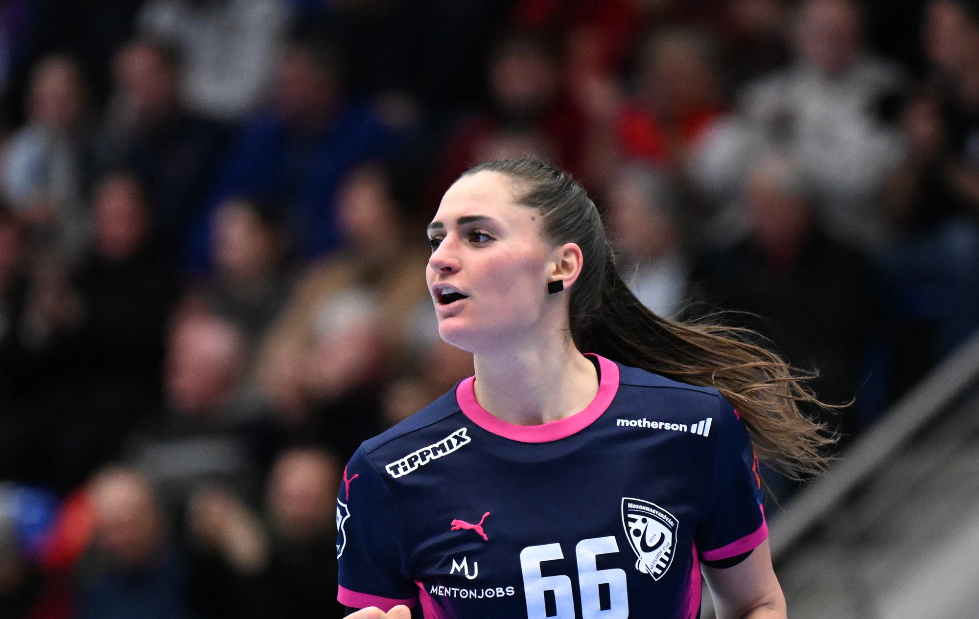 20260320 ELW Quote Mosonmagyarovar Stranigg