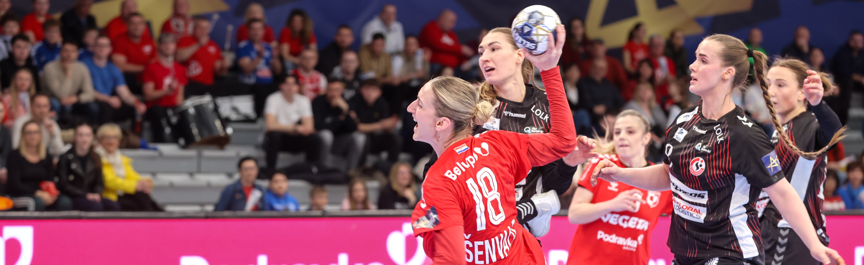 HC Podravka Team Esbjerg (First And Second Half) (37)